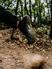 2026 Vb Blote Voeten Antislip Heren & Dames Vijfvinger Trail Schoenen voor Buiten Wandelen & Bergbeklimmen