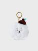 BT21 RJ Hope In Love Plush Face Doll Keychain