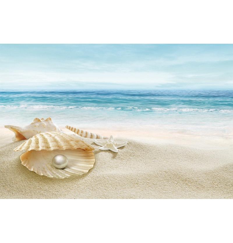 Decorazione Sfondo Spiaggia Tropicale Conchiglia Stella Marina Vacanza Estiva Per Festa in Piscina Sfondi Per Fotografie