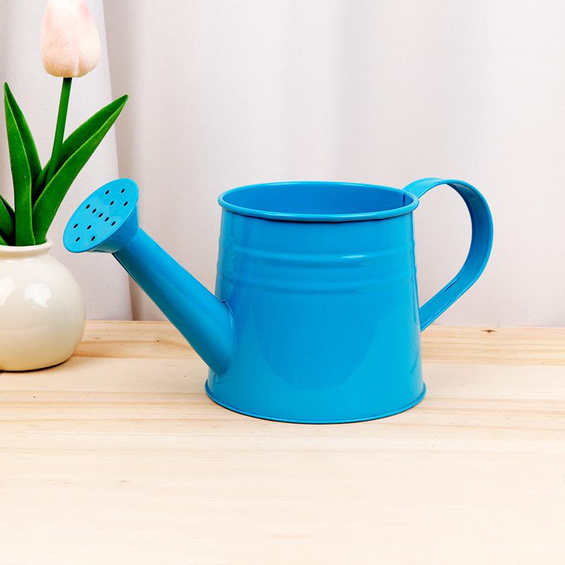 Creative Green Watering Can for Plants and Succulents - Decorative Spray Bottle for Gardening and Flower Arranging