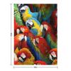 Parrots Throw Blanket blankets ands Soft Plaid Multi-Purpose Thin Blankets