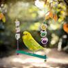 Hühnerstall Schaukel mit Glocke Hühnerspielzeug mit 2 Rattanbällen Holz Papagei Schaukel für Finken Geflügelanreicherung Mynah Henne