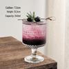 ZISIZ Aesthetic Vintage Mulled Wine Glass