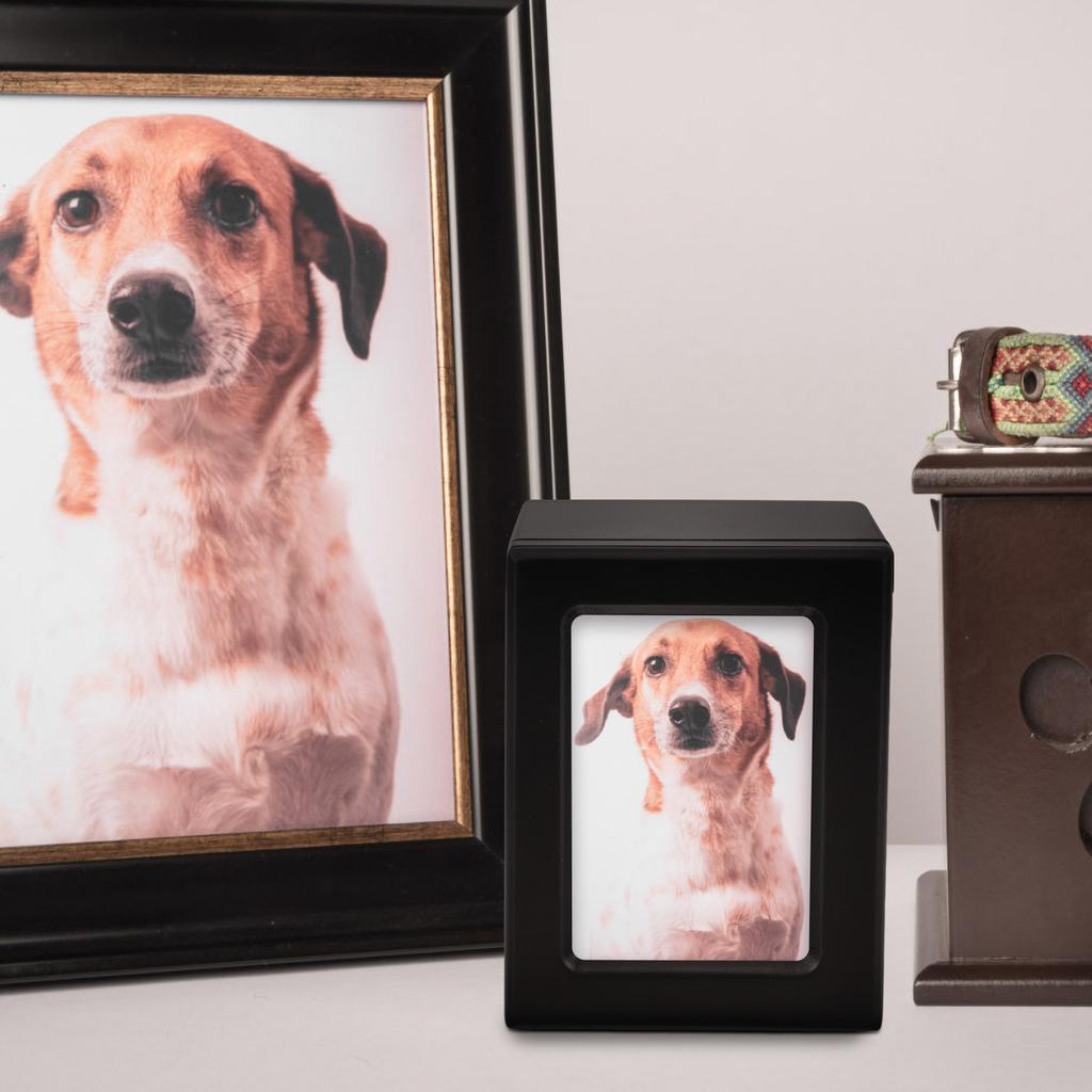 Small Wooden Pet Ashes Box Memorial Urn Portable Lightweight Pet Bone Ash Holder Cinerary Casket for Dog Urn