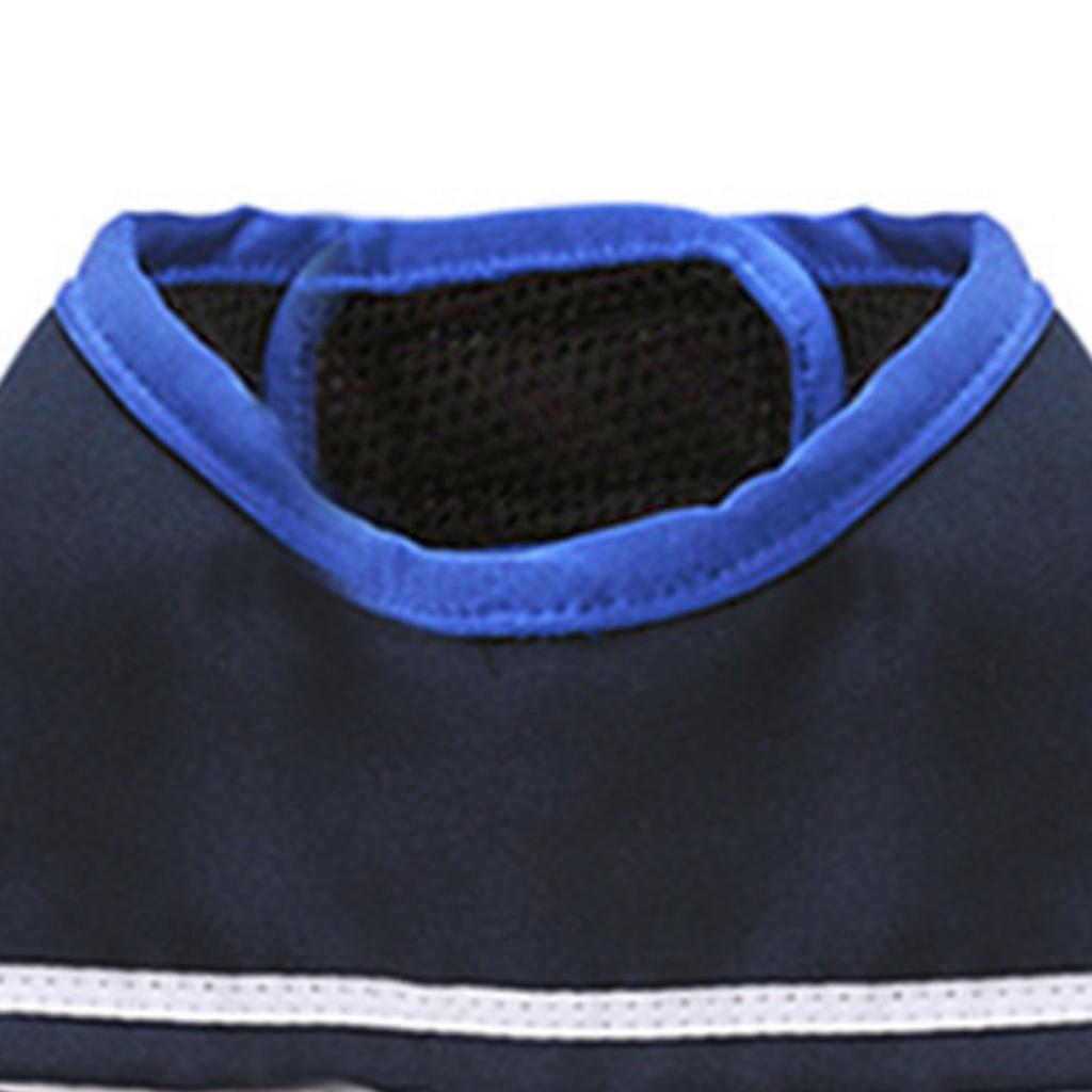 Dog Harness Leash Set with Metal Clasp Cute Small Adjustable Length Pet Chest Back Supplies Blue S