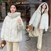 Down and Cotton Jacket Women's Winter 2025 New Loose and Versatile Korean Chic Niche Gentle Style Hooded Padded Jacket Jacket