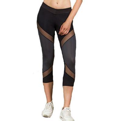 Sports Breeches L2 TotalFit (06399318)