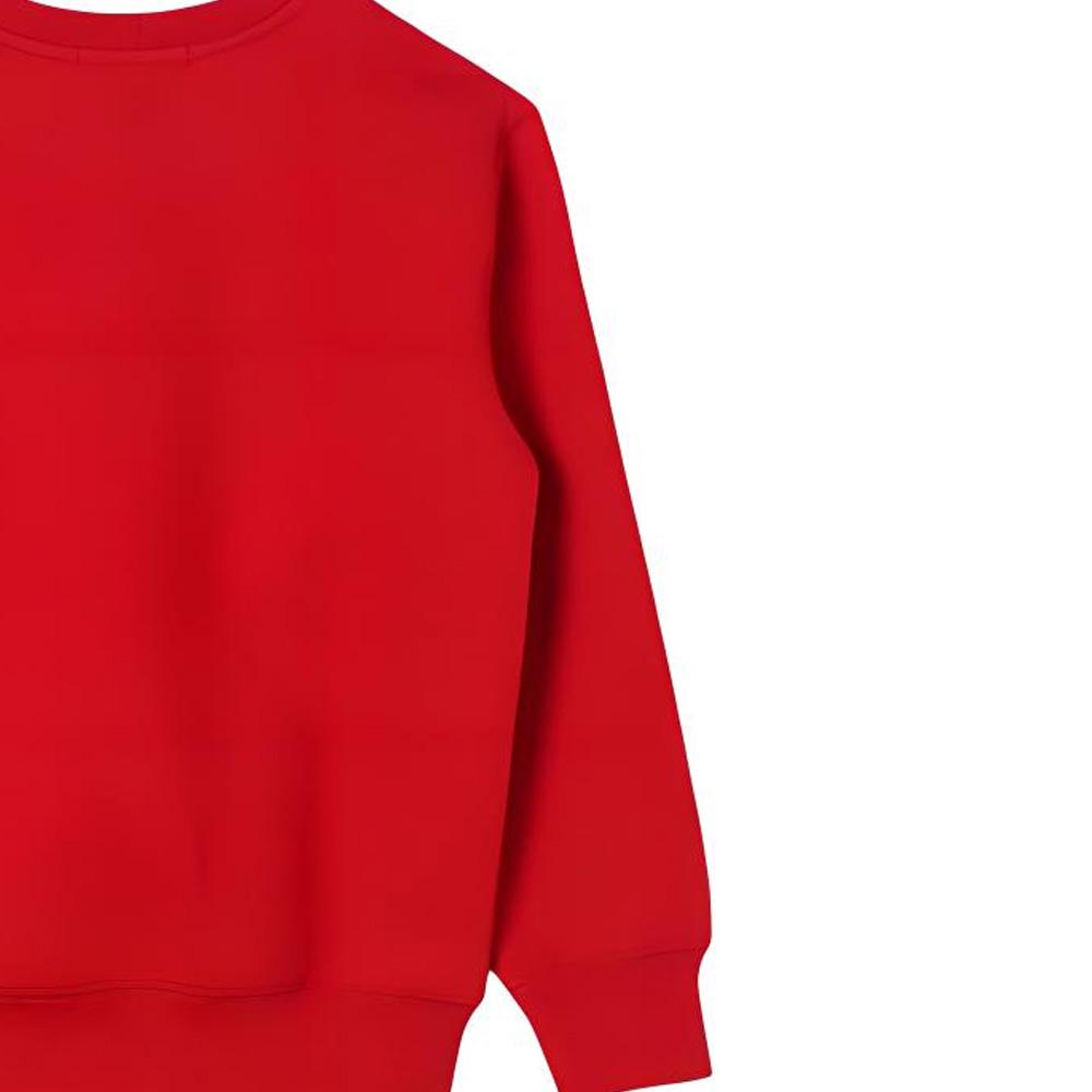 Polo Ralph Lauren Sweatshirt Kids Round Neck Pullover Slim Fit Long Sleeve Red Kids sweatshirt 323960439-001