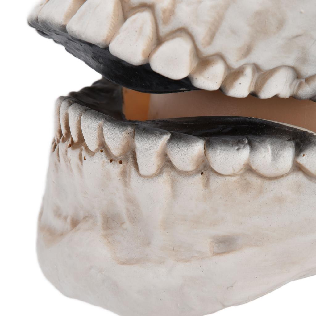 Halloween Skull Mask Full Head Cosplay Party Mask for Christmas Easter New Year s Festival