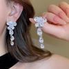 Silver Needle Zircon Butterfly Tassel Earrings & Necklace Set - Elegant Fashion Clavicle Chain for Weddings