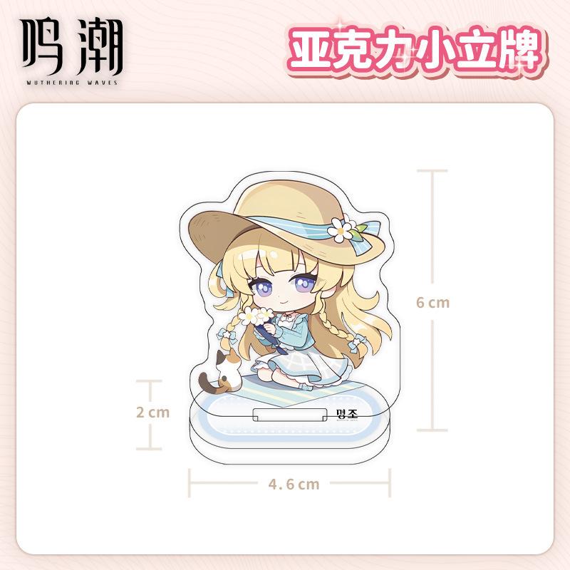 Wuthering Waves Chinese Game Peripherals Full Acrylic Stand Collectible Table Ornaments Creative Birthday Gifts For Friends Plaything