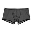 Brief Briefs Lingerie Underwear Low Waist Polyester