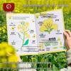 Geliştirici ve Eğitici Oyuncaklar – Eğitici Oyuncaklar