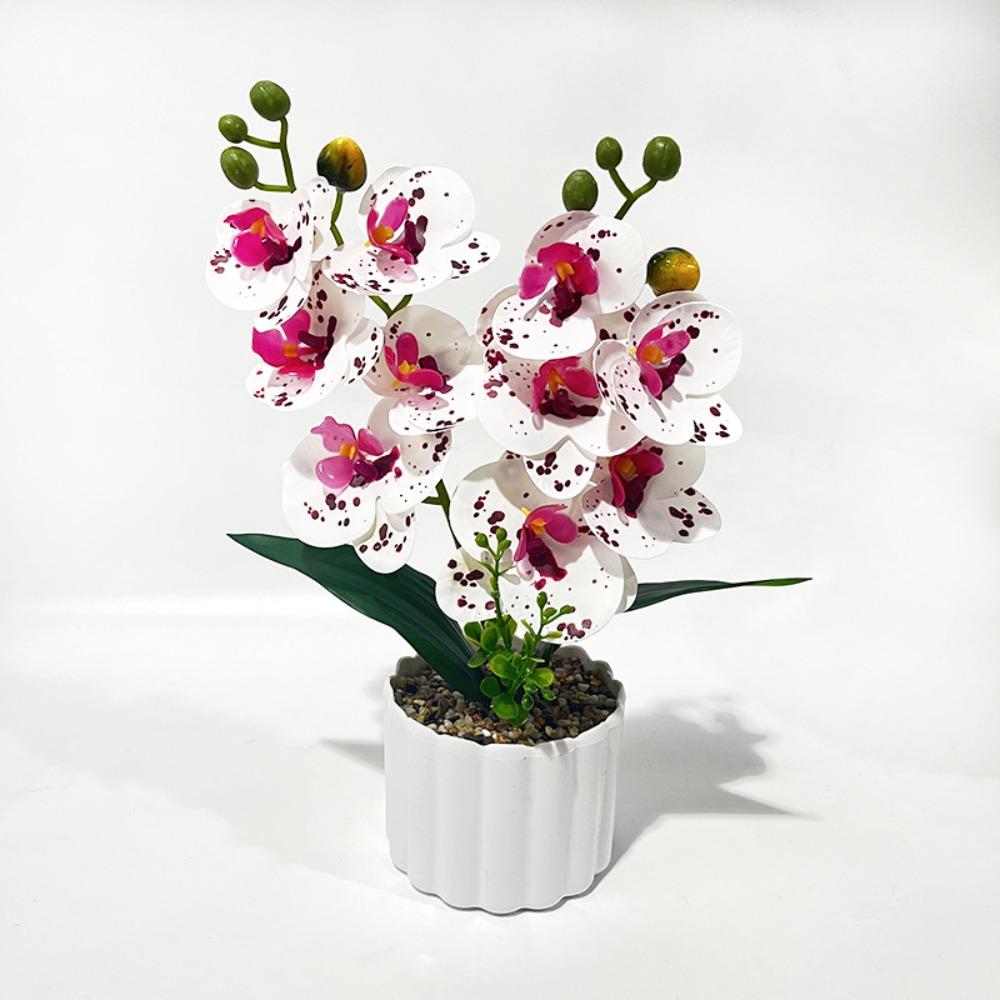 Multicolor Simulation Bonsai Plastic Faux Moth Orchid Potted Home Office Decoration