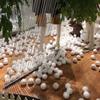 Foam Ball Venue Decoration Parties Wedding 20mm-40mm Beautiful