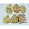 06Pcs Natural Fossil Coral Mix Cabochon Loose Gemstone Lot 268Cts. A-744