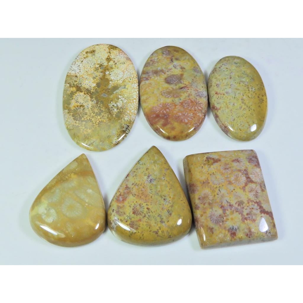 06Pcs Natural Fossil Coral Mix Cabochon Loose Gemstone Lot 268Cts. A-744