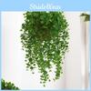 Plant Eucalyptus Wall Plastic Leaves Interior Design Scenes Photography