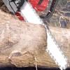 Rechargeable 12-inch Cordless Chainsaw