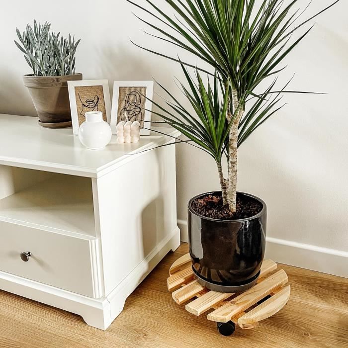 Creative Home Porte Plante a Roulettes En Bois Massif | Diamètre 35 Cm | Capacité De Charge 80 Kg | Support À Roulette Plante Fleur
