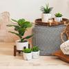 Artificial Fig Violin Leaf Faux Plants Green Shrub Outdoor