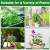 Plastic Climbing Vine Stake Prevent Tipping Over Garden Plant Stake Flower Support Rack  Greenhouse