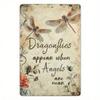 Vintage Dragonfly Metal Art Wall Sign Rustic Decor for Garden Patio