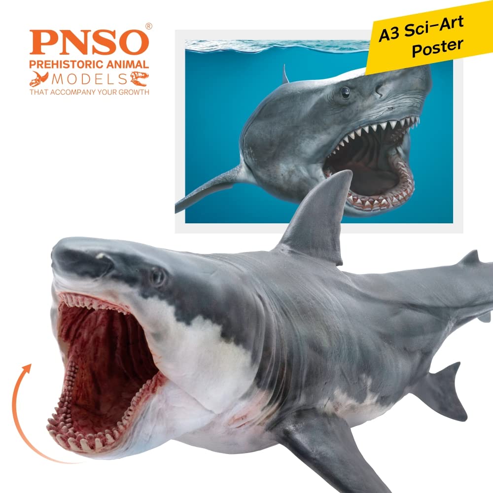 PNSO Prehistoric Animal Model: Megalodon Patton (Big White Shark) 6.2-inch Ancient Sea Monster Toy