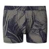 Hanro Fancy Micro Quick Dry Boxer Briefs  73125 Striped Palm Print 