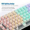 Y-FRUITFUL K10 100-Key Single Mode Wired RGB Mechanical Keyboard with Transparent Keycaps