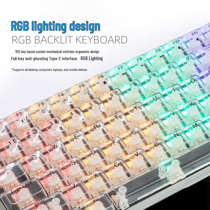 Y-FRUITFUL K10 100-Key Single Mode Wired RGB Mechanical Keyboard with Transparent Keycaps