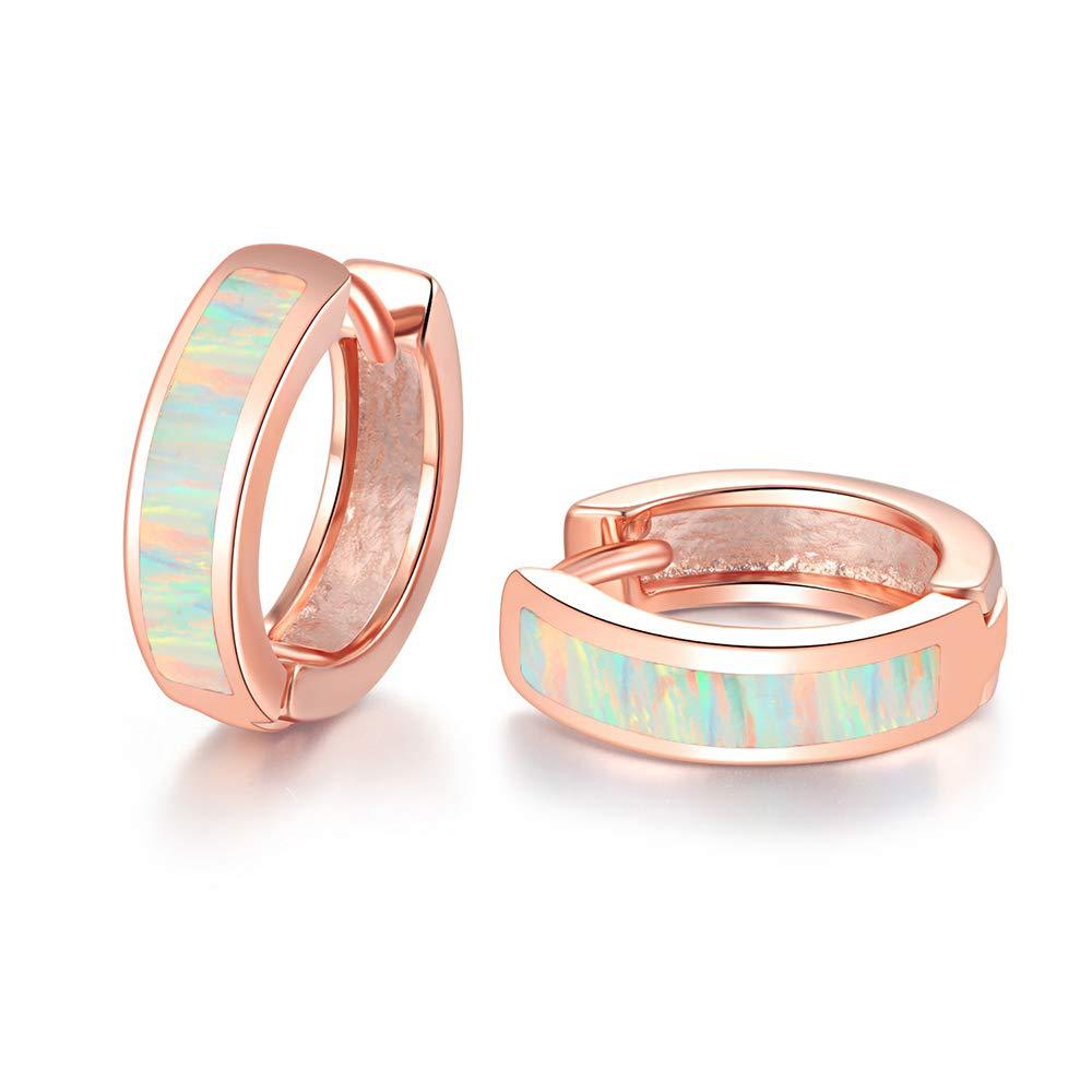 White Blue Opal Classic Small Round Circle Hoop Earrings For Women Vintage Wedding Engagement Jewelry Gifts Box