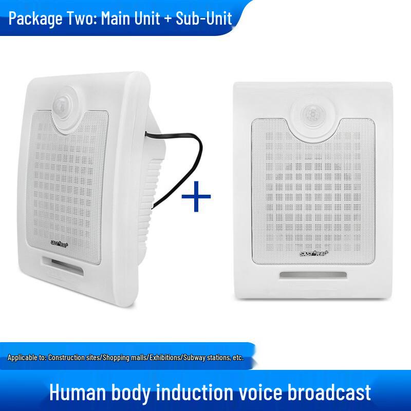 SAST Smart Infrared Motion Sensor Wall Speaker (CN version)
