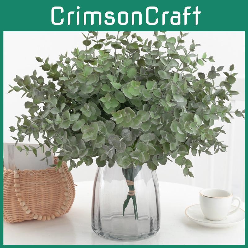 Plant Globulus Eucalyptus Foliage For Home Enhancement Prop Photography