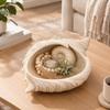Conch Shape Jewelry Tray Trinkets Dish Trinkets Plate with Raised Ridges and Rolled Folds for Jewelry, Hair Accessories, Dresser Storage, or Bedroom