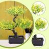 Artificial Bonsai Ornament, Realistic Faux Potted Plant, Plant for Office, Tabletop, Home