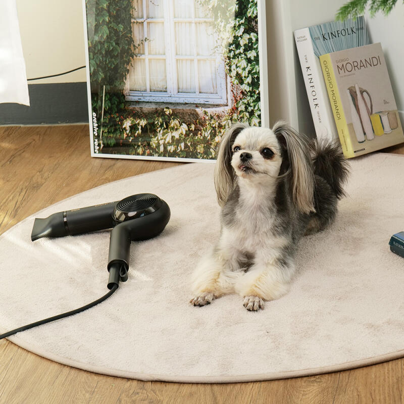 Unix Professional Hair Dryer UN-F6200 Hair Salon Dryer