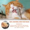 Dog Paw Wax 1 Oz All Season Pet Paw Care for Protection Against Heat Sand Dirt Snow Great for Dogs on Trails and Walks
