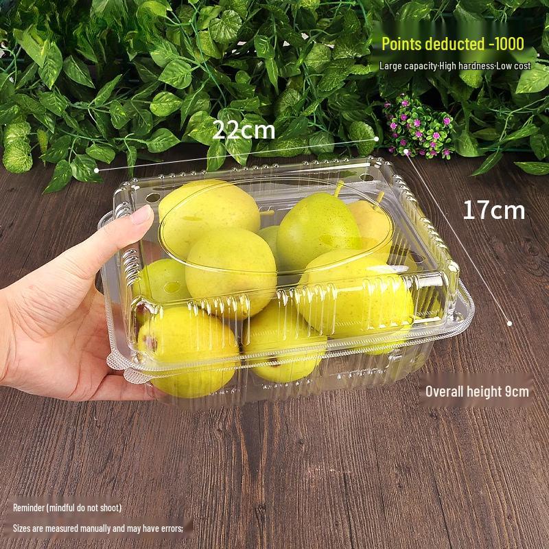 Disposable Round Plastic Fruit Container