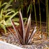 Agave Garden Decorations for Outdoor Yard Stake Hand Painted Tequila Sculpture