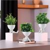 Plastic Mini Artificial Plants With Pot, Table Decorative Items, White & Green