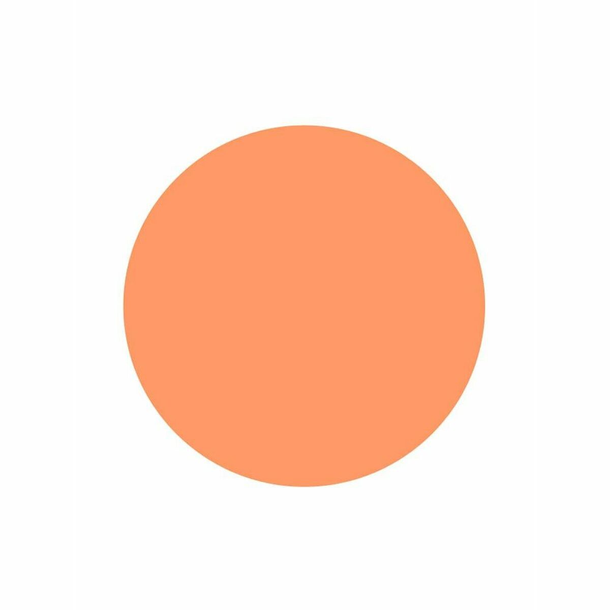 

LeClerc Palette 01 Натуральная розовая плоть (50г)
