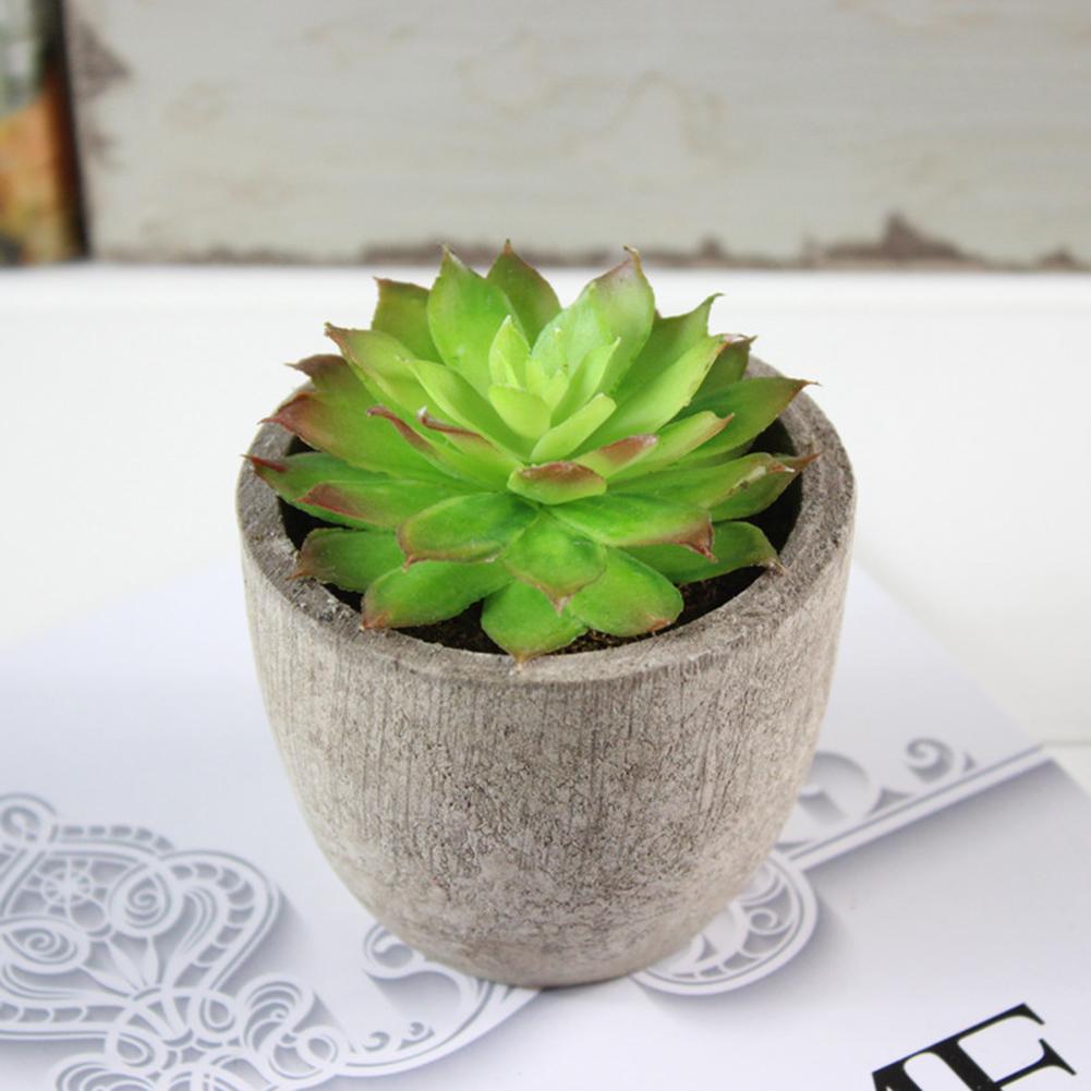 Simulate Potted Plant Cute Microlandschaft Home Office Hotel Decoration