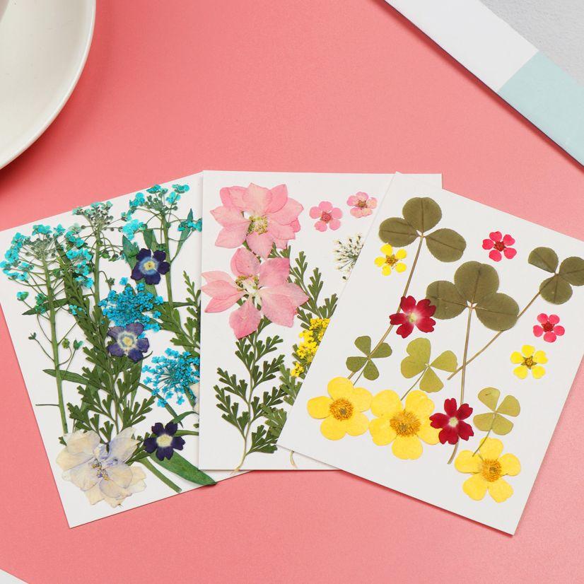 Real Natural Dried Flowers Pressed Flowers Resin Mold Fillings Flower for DIY Candle Resin Crafts Jewelry Nail Art Beauty Decal