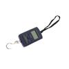 Large LCD Display Electronic Suspension Scale, 40Kg/10g Capacity Portable with Hook for Luggage