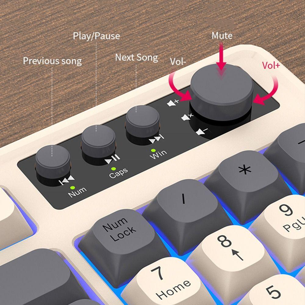 Backlight Keyboard Mouse Set 98 Key Layout Wired Keyboard New RAIKU T98 Keyboard  Office