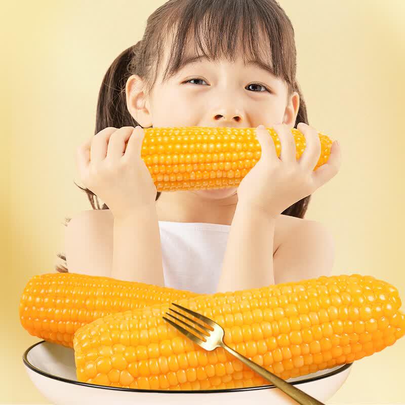 Yan Zhi Fang Fresh Organic Yellow Waxy Corn