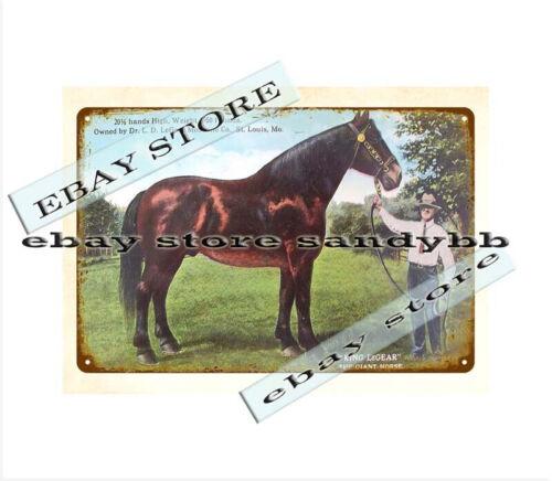 

DR LEGEAR HORSE VETERINARY ST MO MISSOURI metal tin sign tin wall signsAluminum 20x30cm（7.8x11.8inch）