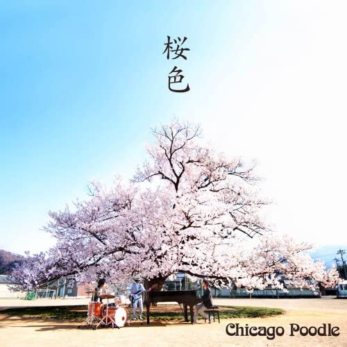 

CD CHICAGO POODLE - AKURAIRO(CD+DVD)(ltd.ed.) Japan ObiJapanese Pop/Rock Used