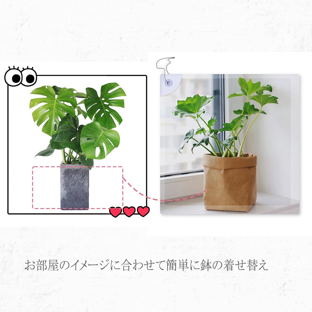 Plant Pot Washable Kraft Planter Vegetable and Fruit For Kitchen to 7 Cover, Paper, Houseplant, Cover, Stylish, Scandinavian, Indoor, Simple,